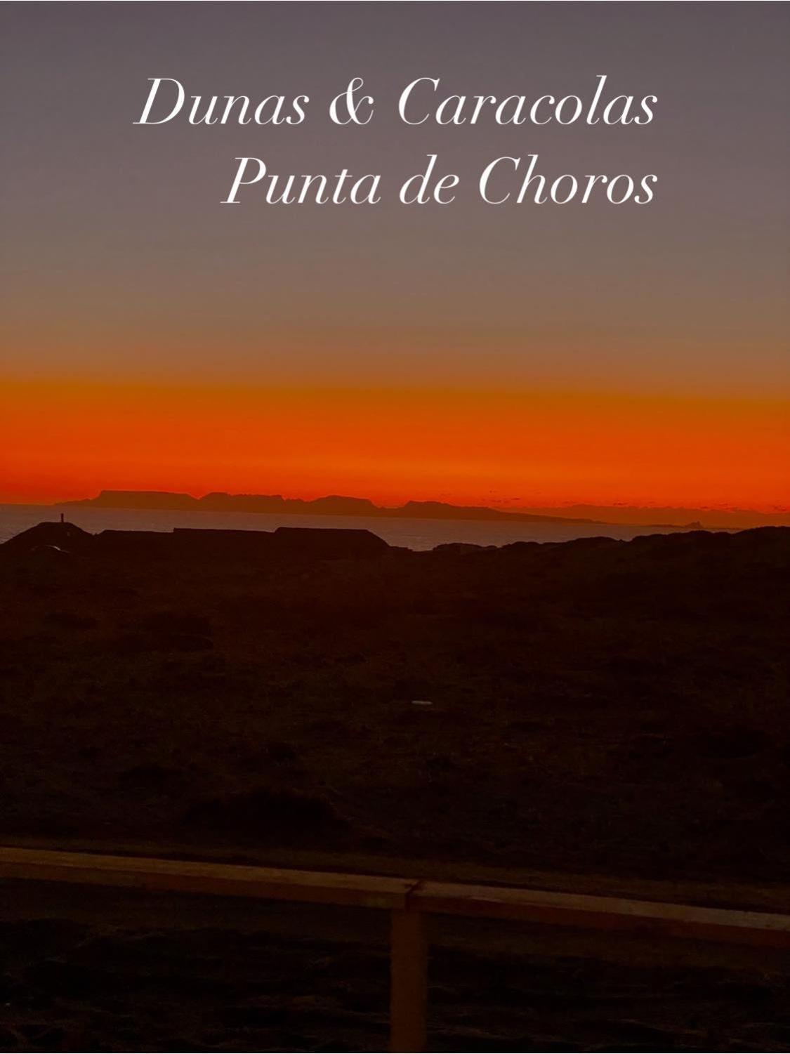 Entre Dunas Y Caracolas 蓬塔乔罗斯 外观 照片